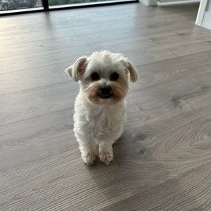 Meet your Posher, Ebony